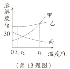 t2温度/℃第13题图