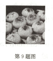 第9题图