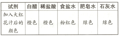 花汁后的橙色橙色粉红色绿色绿色颜色