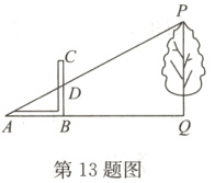 第13题图
