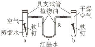 蒸馏水钉红墨水