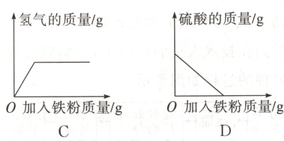0加入铁粉质量/g0加入铁粉质量/g