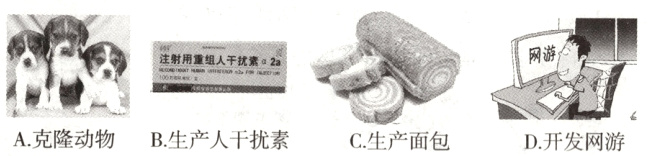 C生产面包A克隆动物B生产人干扰素D开发网游