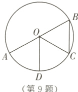 第9题
