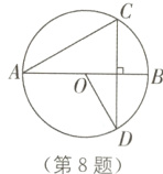 第8题