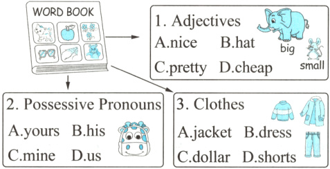 AyoursBhisAjacketBdressCdollarDshortsCmineDus