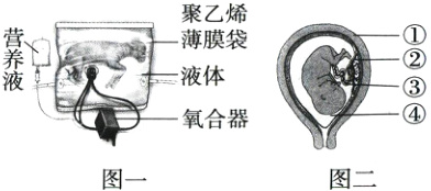 氧合器图一图二