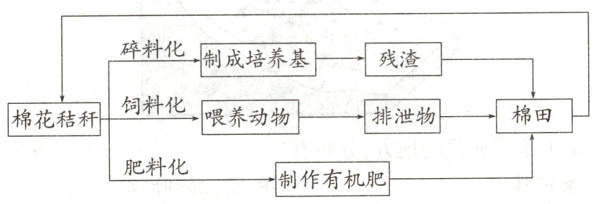 肥料化制作有机肥