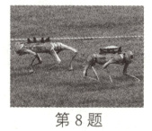 第8题