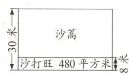 m阝米 沙打旺480平方