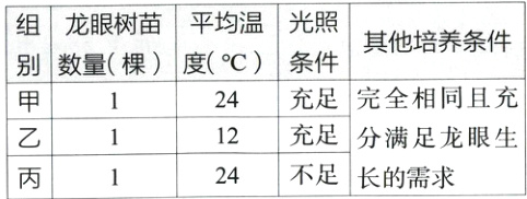 12充足分满足龙眼生不足长的需求24