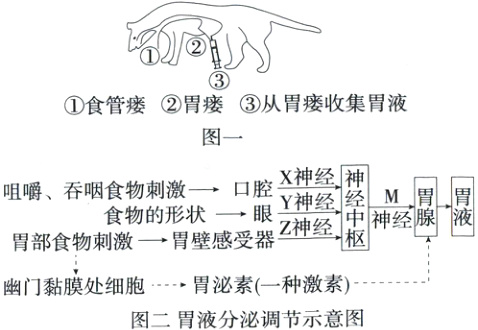 幽门黏膜处细胞胃泌素一种激素图二胃液分泌调节示意图