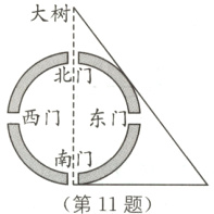 南门第11题