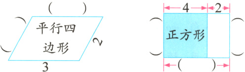 边形
