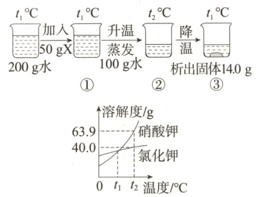 氯化钾 0 t₁ t₂ 温度/℃