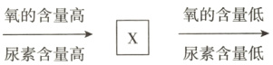 氧的含量低氧的含量高尿素含量低尿素含量高