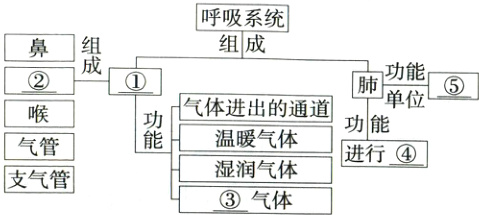 气管进行湿润气体支气管气体
