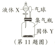 固体Y第11题图