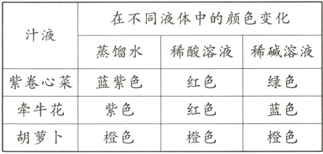 牵牛花红色蓝色紫色橙色橙色橙色胡萝卜