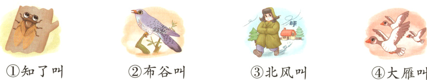 知了叫布谷叫北风叫大雁叫