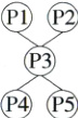 P3P4P5