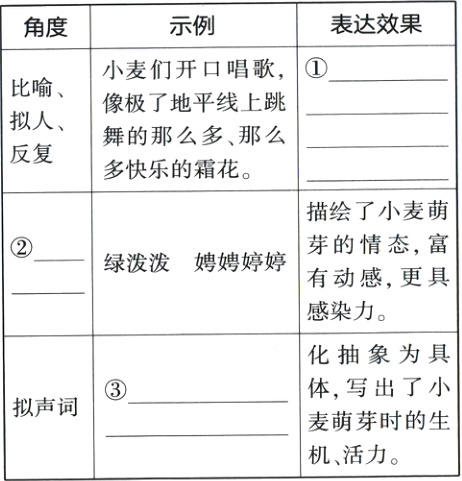 麦萌芽时的生机活力