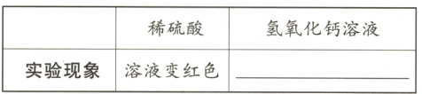 实验现象溶液变红色