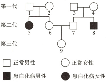 正常男性正常女性e患白化病女性患白化病男性