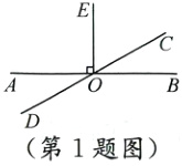 第1题图
