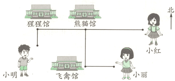 小明小丽飞禽馆