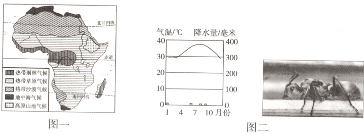14710月份图一图二