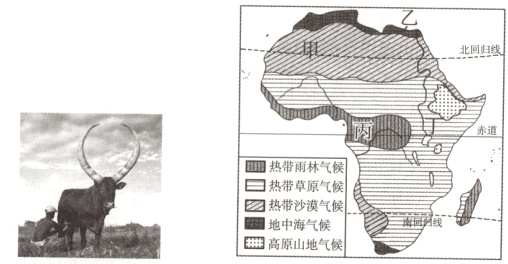地中海气候罒高原山地气候