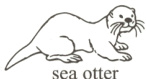 seaotter