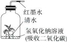 氢氧化钠溶液吸收二氧化碳