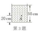 20cm第3题