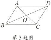 第5题图