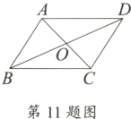 第11题图