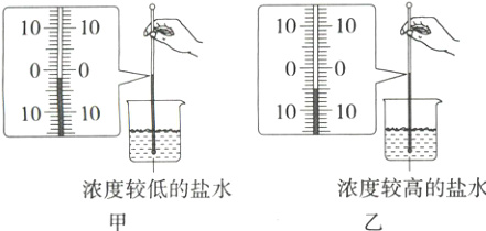 浓度较高的盐水浓度较低的盐水