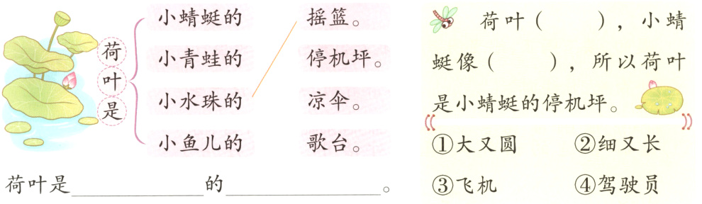 驾驶员荷叶是飞机