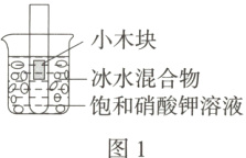 饱和硝酸钾溶液 图 1