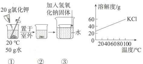 50g 水 温度/°℃