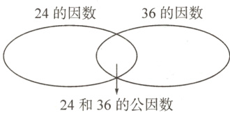 24和36的公因数