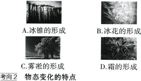 C雾淞的形成D霜的形成考向2物态变化的特点
