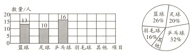 篮球足球乒乓球羽毛球其他项目