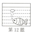 第12题