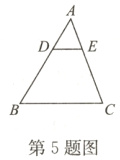 第5题图