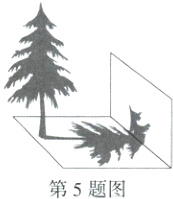 第5题图