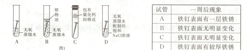 皙水馏水皙和溶液铁钉表面无明显变化铁钉表面有较厚铁锈图1