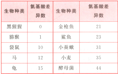 小麦3512酵母菌4415