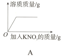 0加入KNO的质量/g